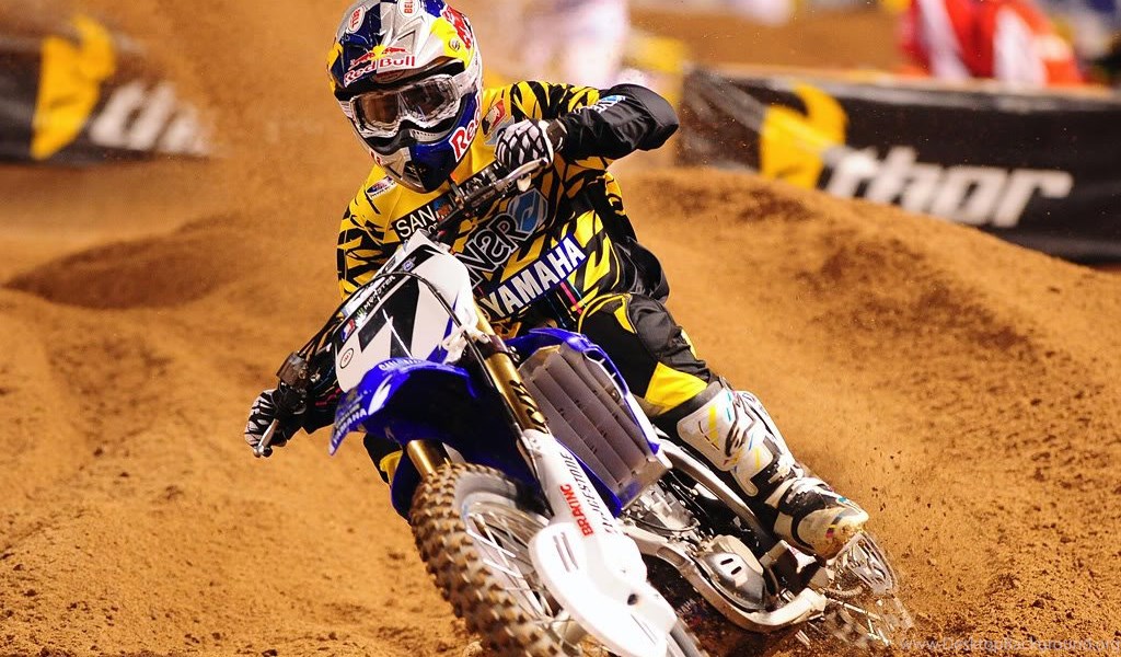 2009 FIM Motocross World Championship