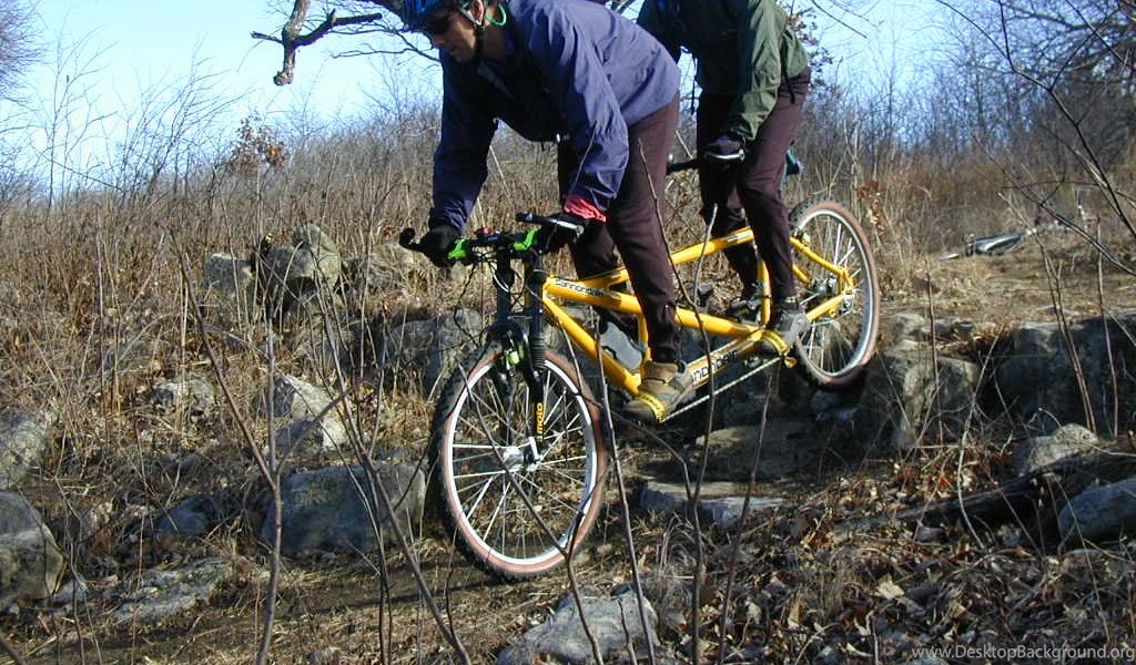 mtbr cannondale