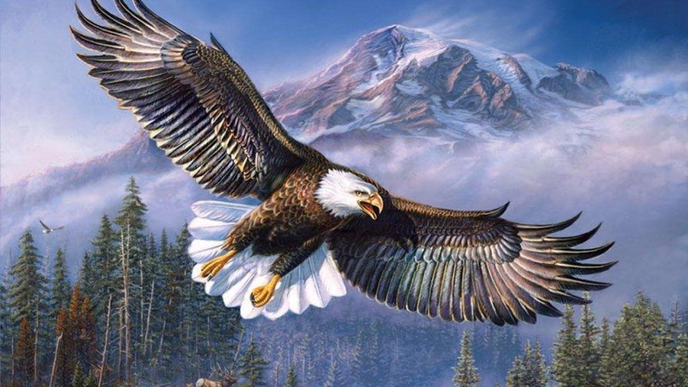  Eagle  HD  Wallpapers  Desktop  Background