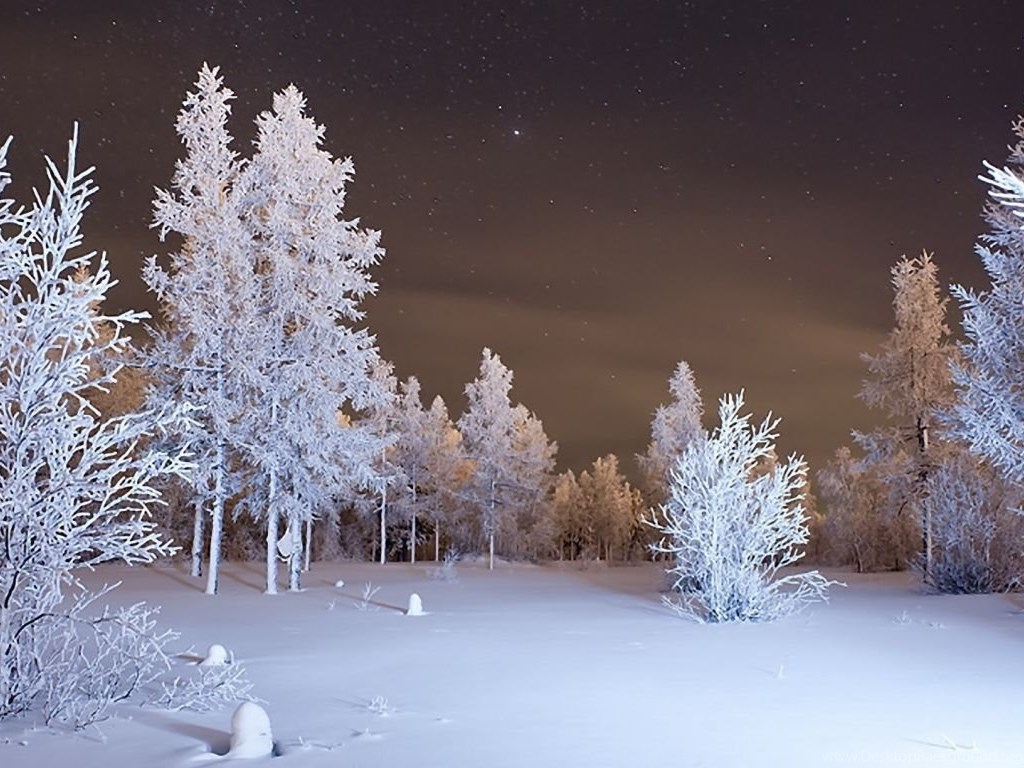 Download Wallpapers 1366x768 Winter, Forest, Snow Laptop 1366x768