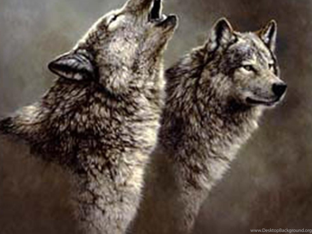 Wolf Song Wallpapers Tags Animals Fantasy Grey Wolf Nature