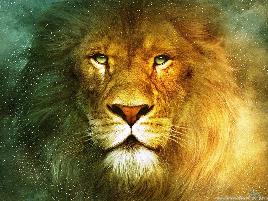 Download Lion Wallpapers HD Desktop Background