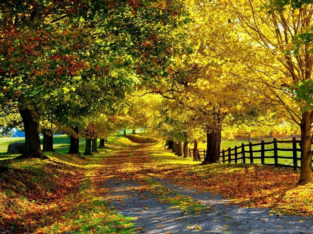 Free Wallpapers Fall Season Wallpapers Cave Desktop Background