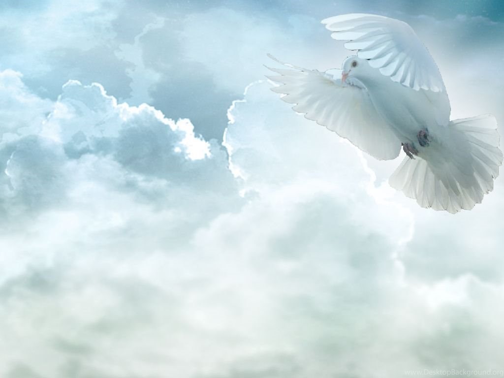 Download Holy Spirit Dove Pictures, Images & Photos Fullscreen Standart...
