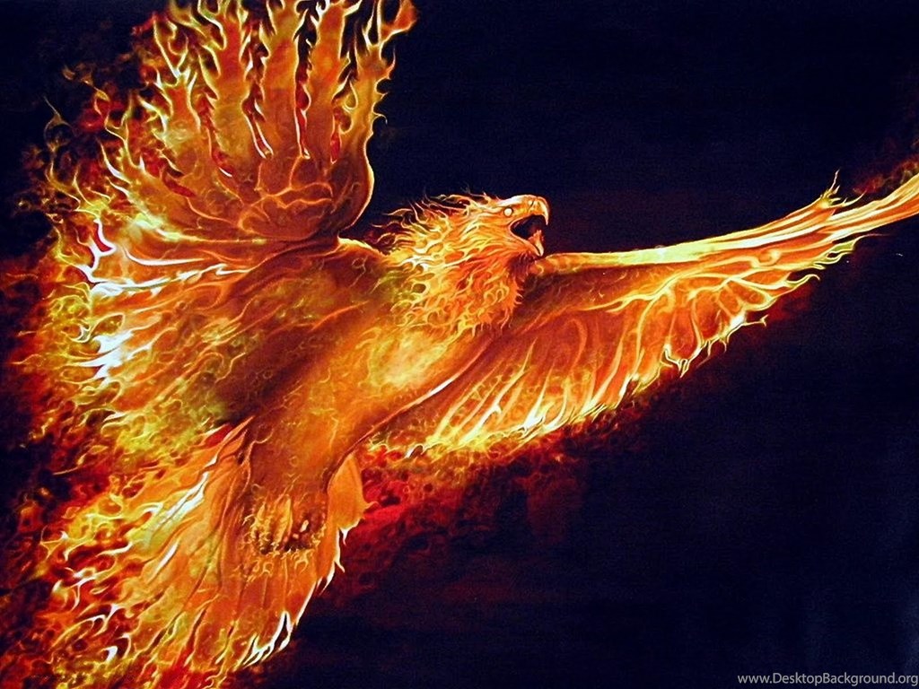 Fire Eagle Best Hd Wallpapers Desktop Background