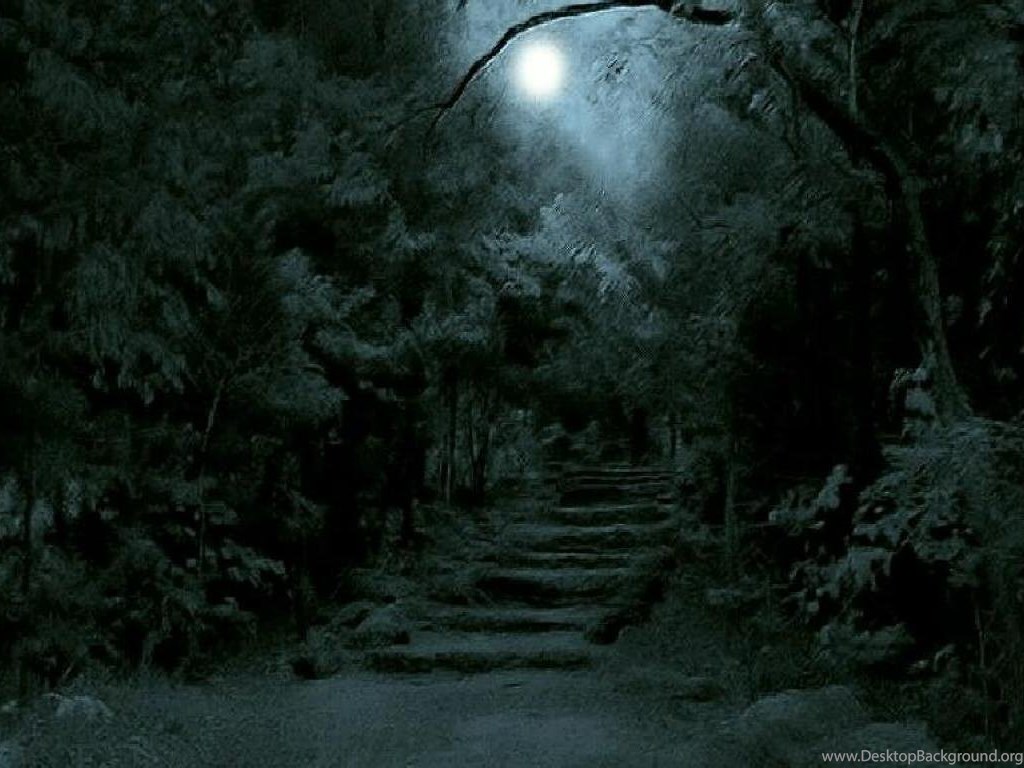 [Image: 398278_full-moon-in-a-dark-forest-wallpa...x768_h.jpg]