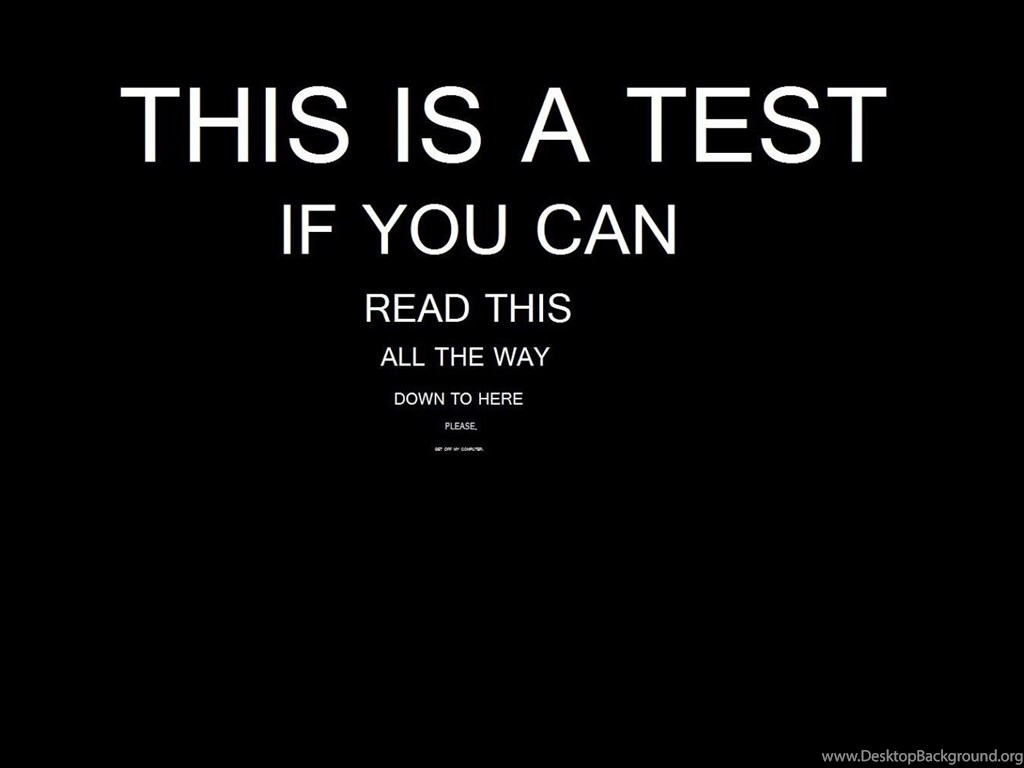 Funny Wallpapers For Phones 2 HD Widescreen Wallpapers Desktop Background