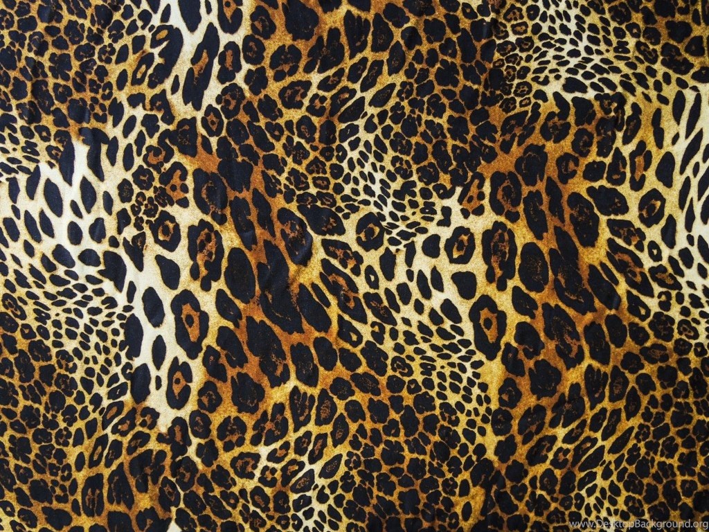 Download Wallpapers Texture, Leopard, Fur, Wool, Skin, Textures