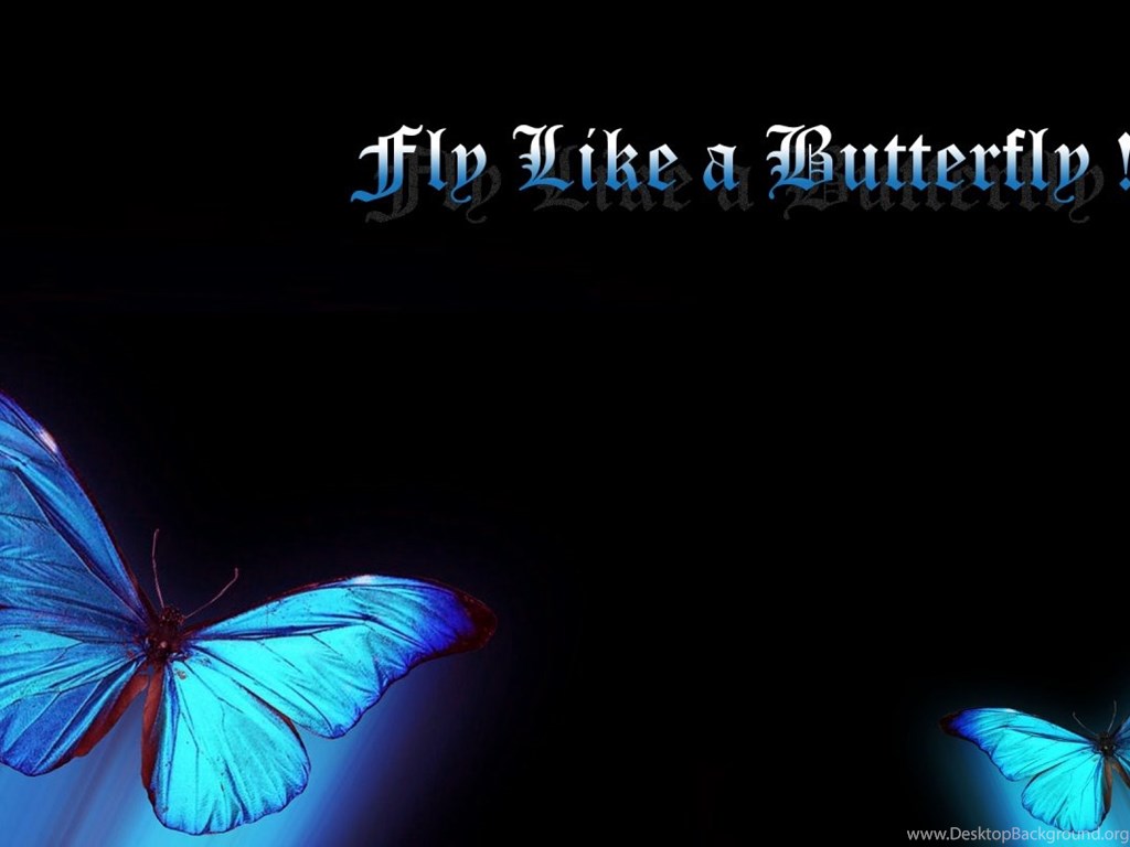 3d Wallpaper Download Butterfly Image Num 88