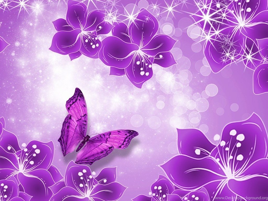 Girly Purple Wallpapers Photo Desktop Background