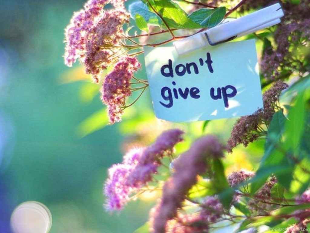 Don T Give Up Wallpaper Desktop Background