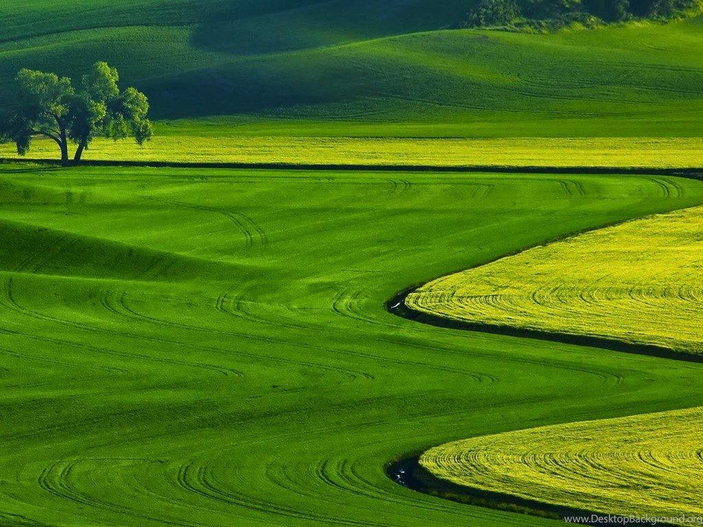 Free Download Full Hd Wallpapers For PC Wallpapers High