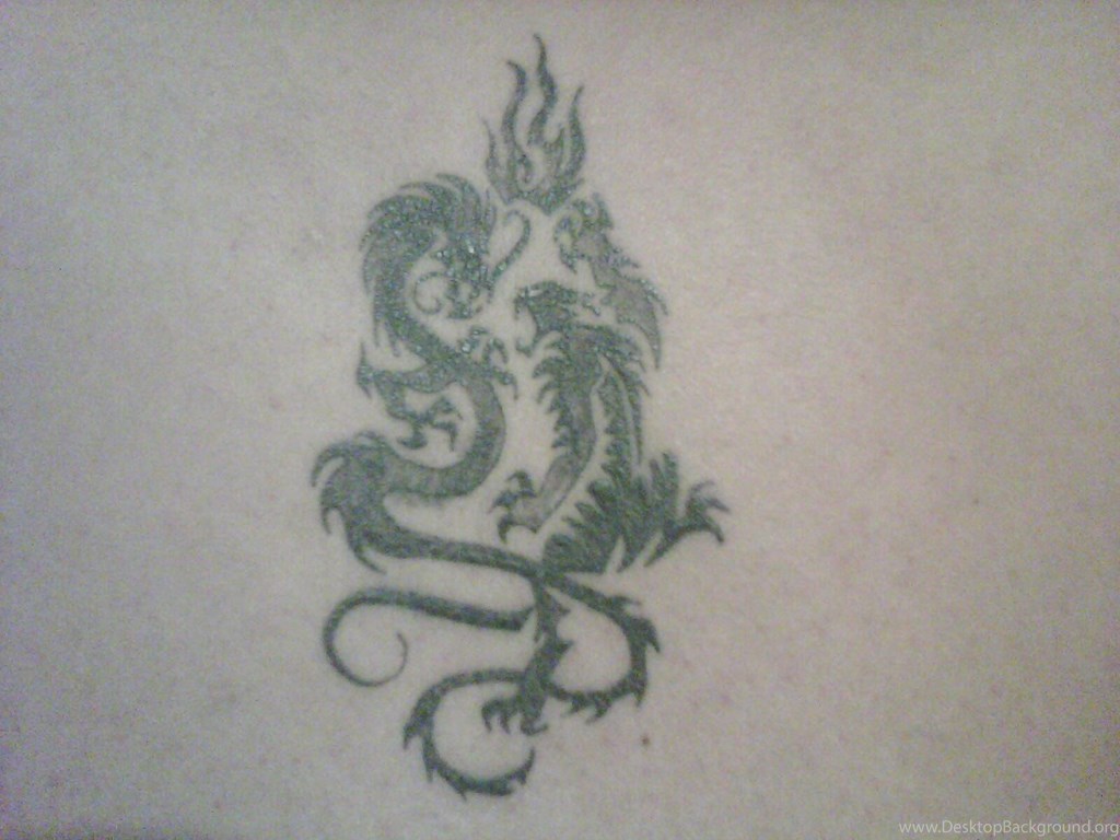Wallpapers Dragon Age Origins Tigre Yin Yang Tatuaje Tattootattoo