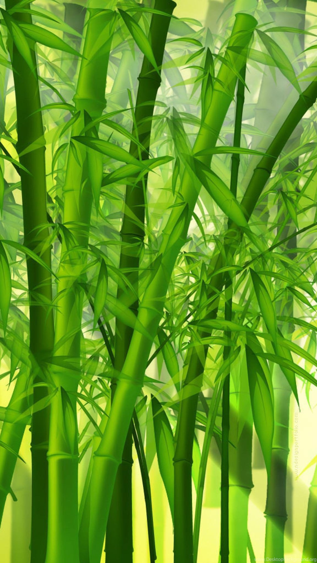 Green Bamboo Forest Wallpaper HD.jpg Desktop Background