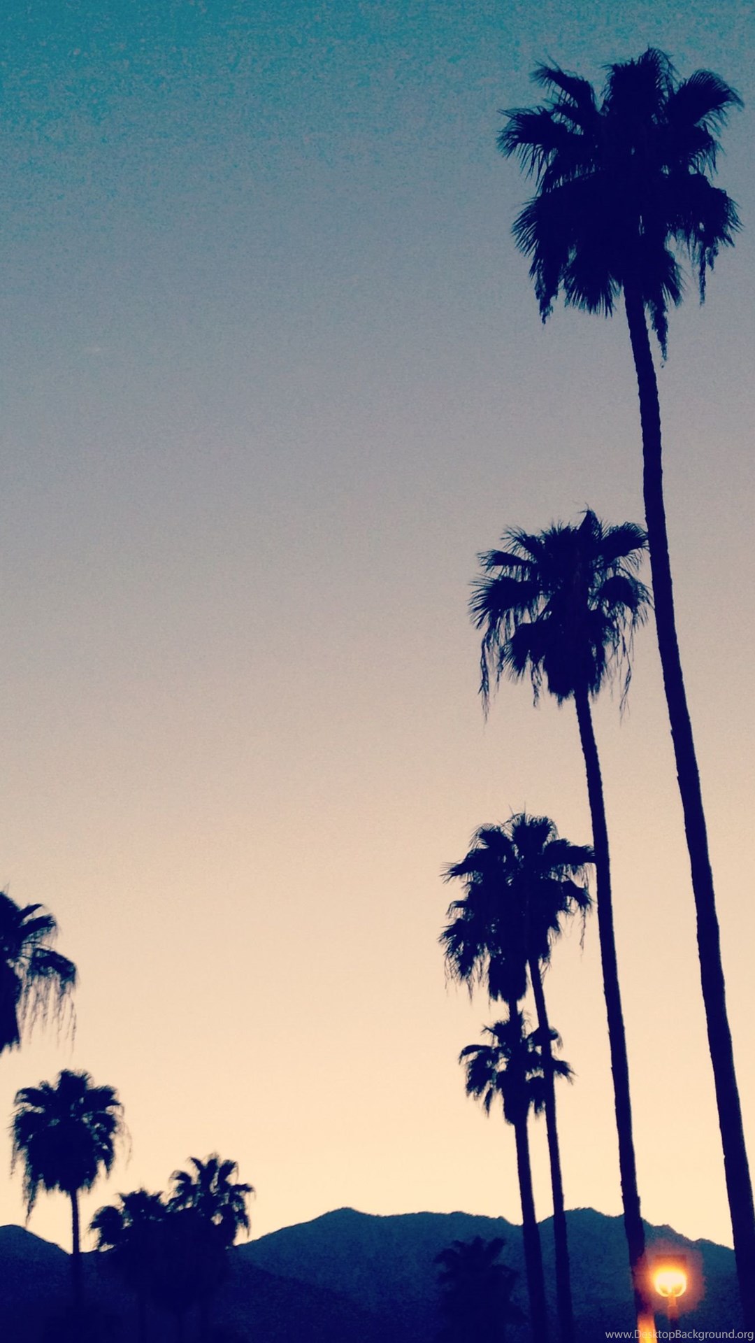 California Palm Trees Vintage Wallpaper Desktop Background