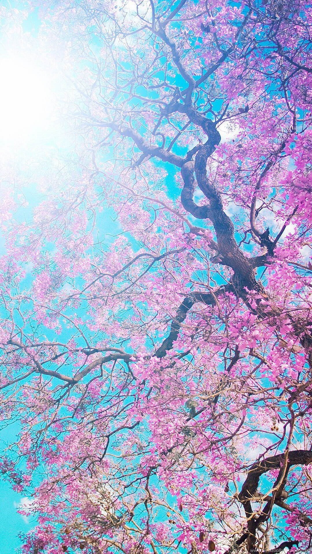 Unduh 52+ Background Tumblr Iphone 6 HD Terbaru