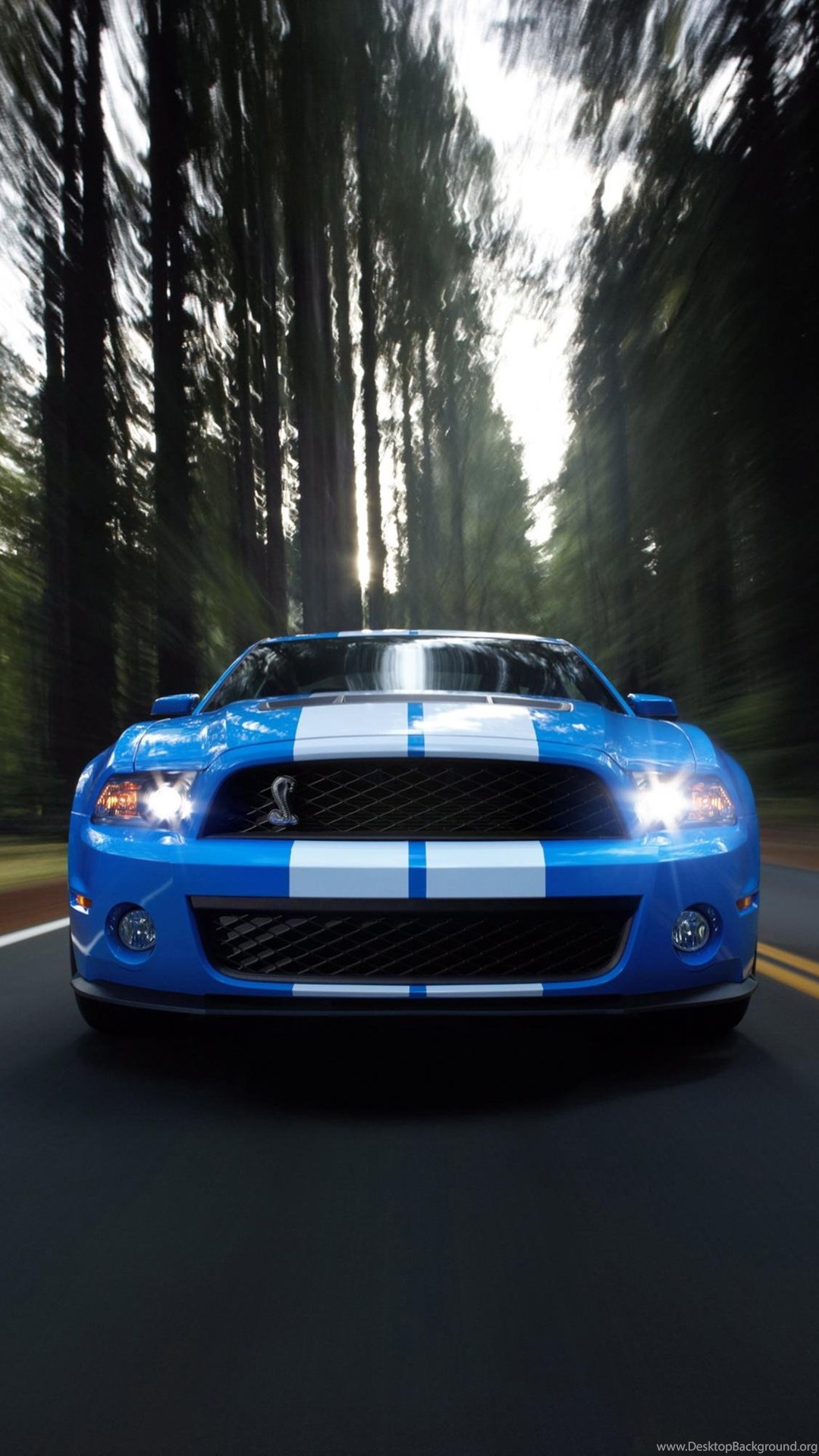 Фото машин вертикально. Ford Shelby gt500. Mustang Shelby gt500. Форд Шелби gt 500. Ford Mustang Shelby.
