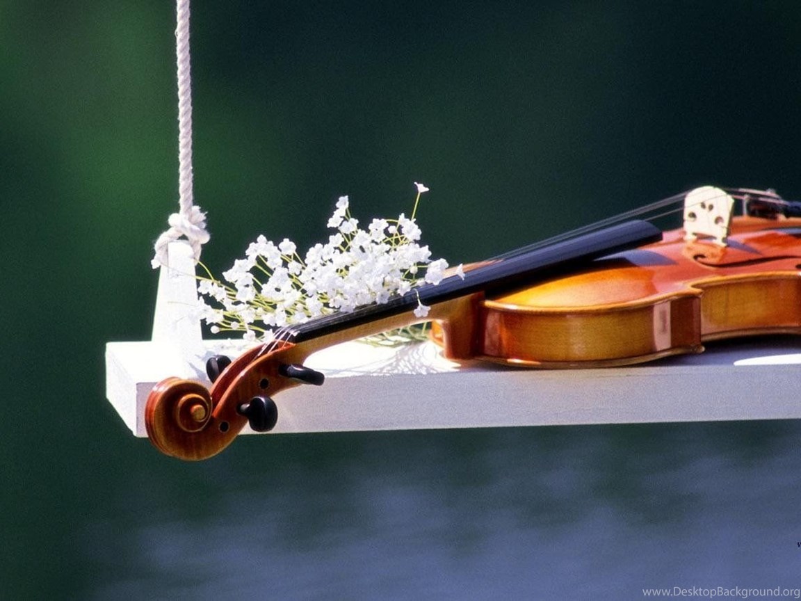 Музыку можно открыть. Весенняя скрипка апреля. Создании музыкальных композиций фото.