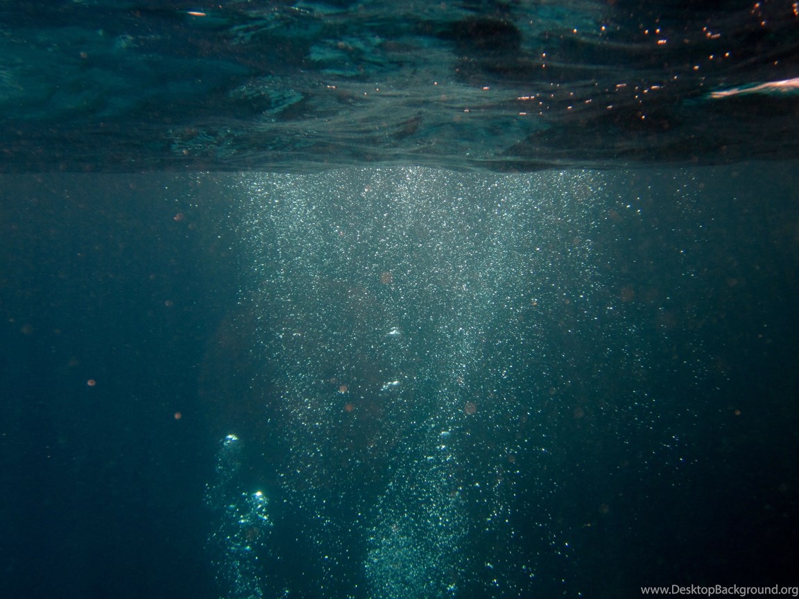 Unduh 55 Background Tumblr Fish Terbaik