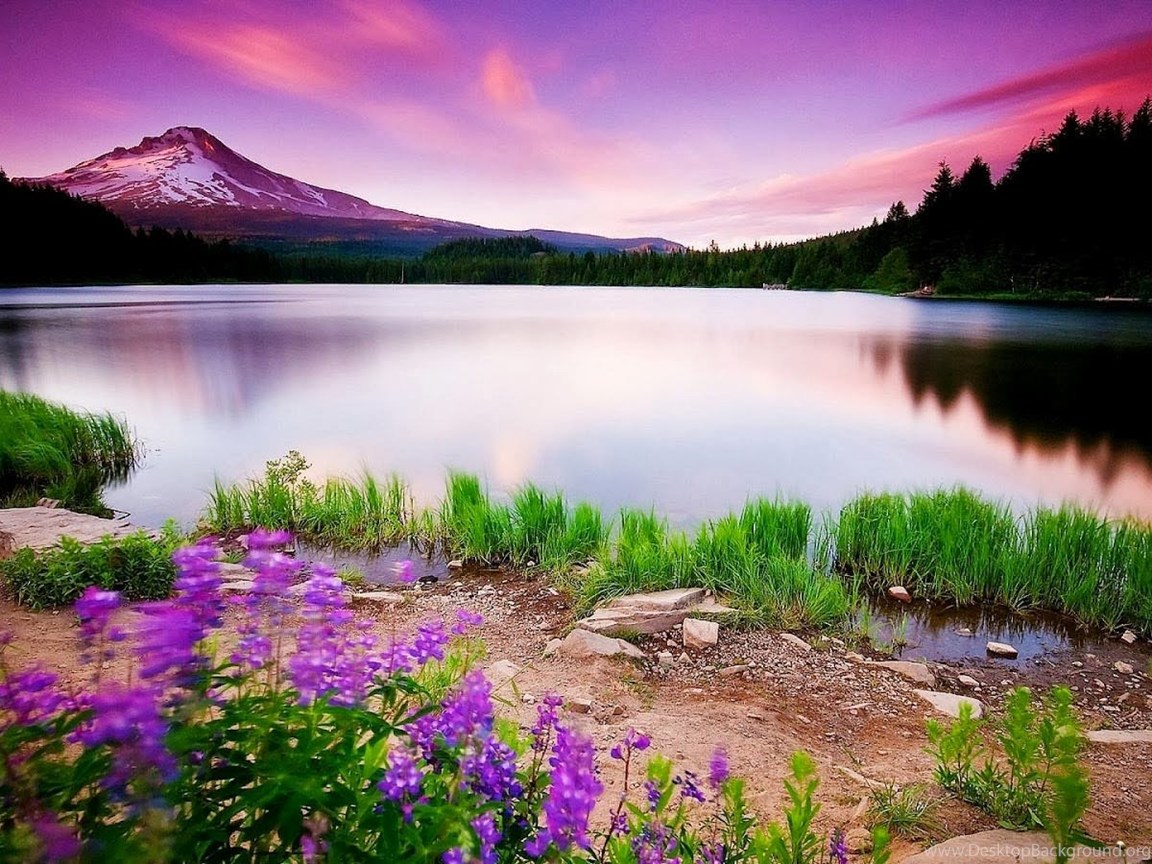 Desktop Wallpaper Nature Full Size Hd Trik Memilih Tempat Traveling