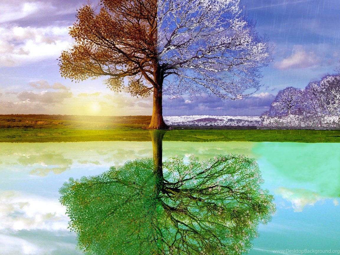 Changing Seasons Wallpapers Desktop Background