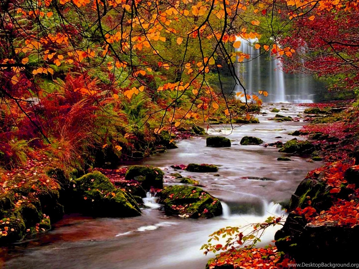 High Resolution Fall Pictures In Full HD 1080p Desktop ...