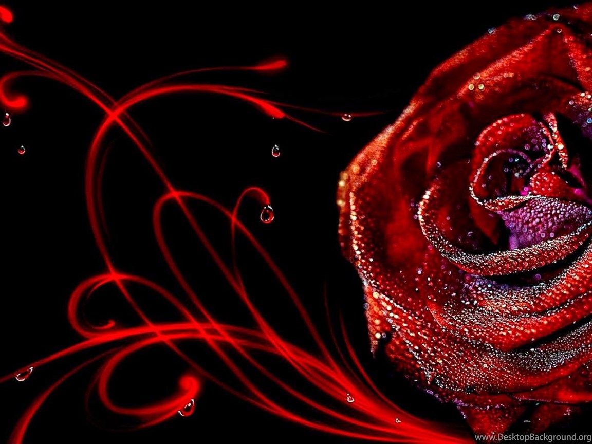 3D Rose Flower Wallpapers Desktop ...