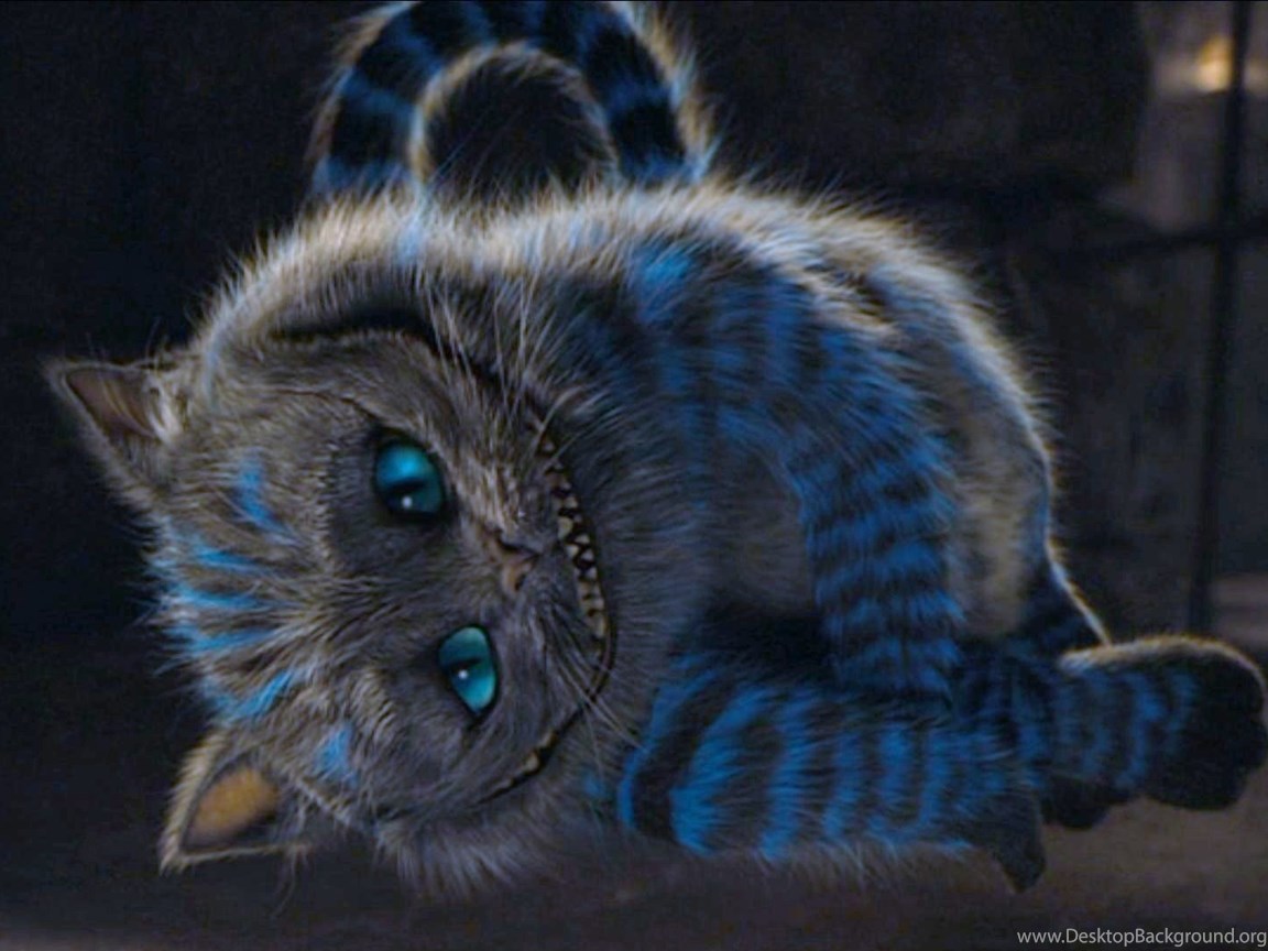 Alice In Wonderland Cat Wallpapers Hd Alice In Wonderland Cheshire Desktop Background