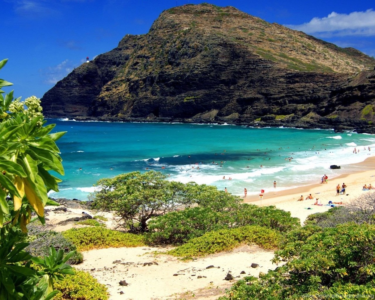 Download Daily Wallpaper: Oahu Beach, Hawaii Popular 1280x1024 Desktop Back...