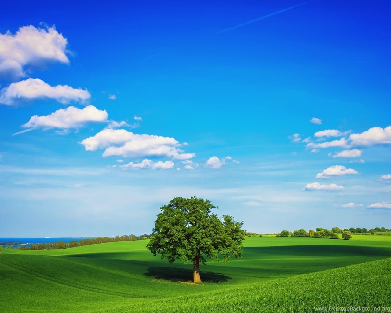 full hd 1080p nature wallpapers