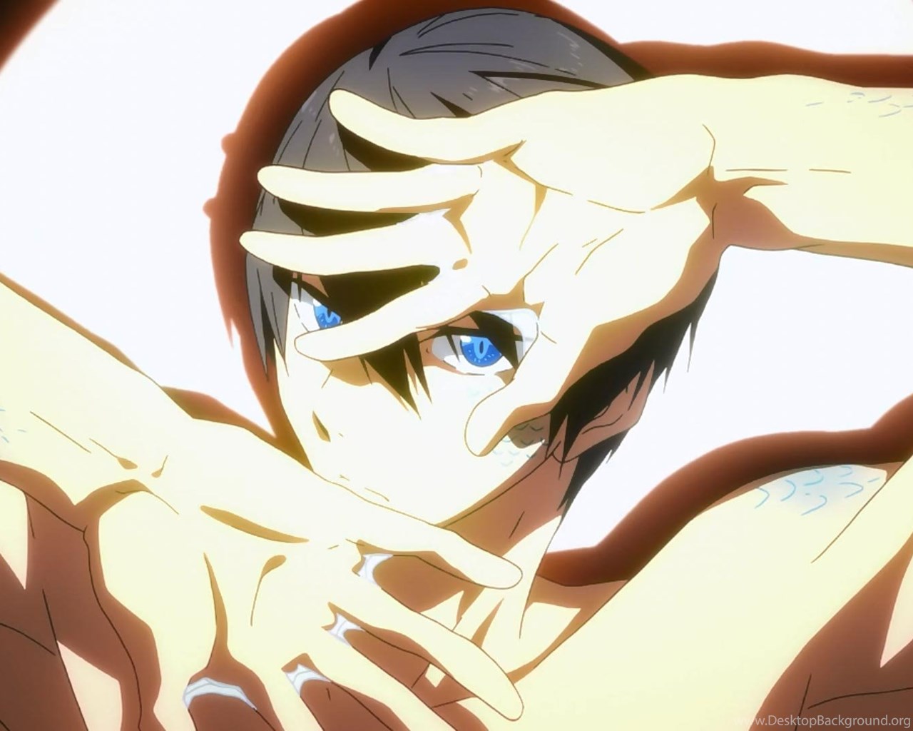 Free Eternal Summer Hd Wallpapers Desktop Background