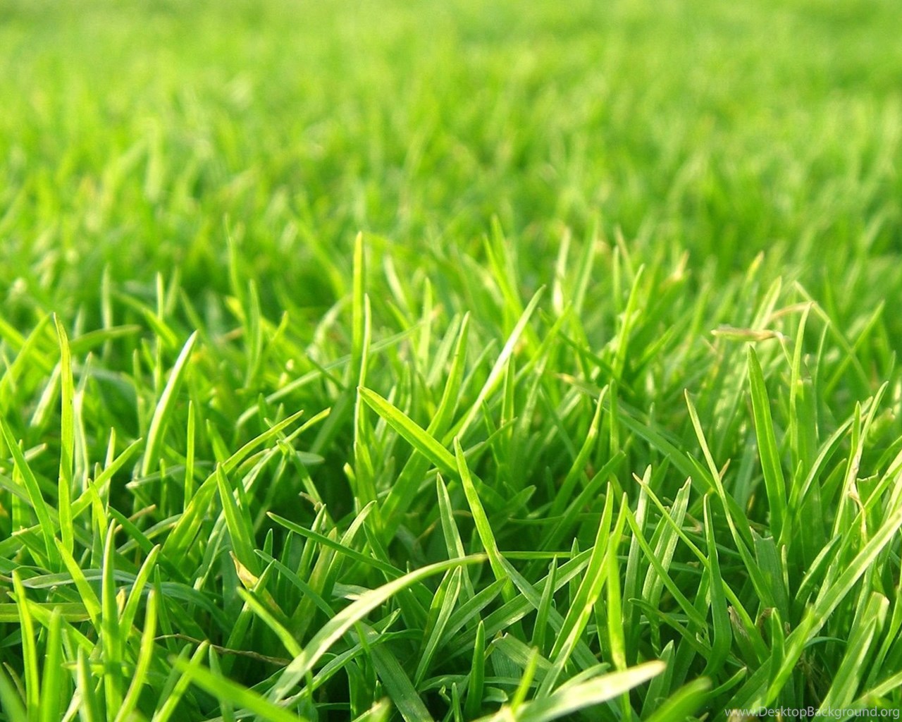 Grass Football Field Background 87ohnckh Desktop Background 5,000+ vectors, stock photos & psd files. desktopbackground org