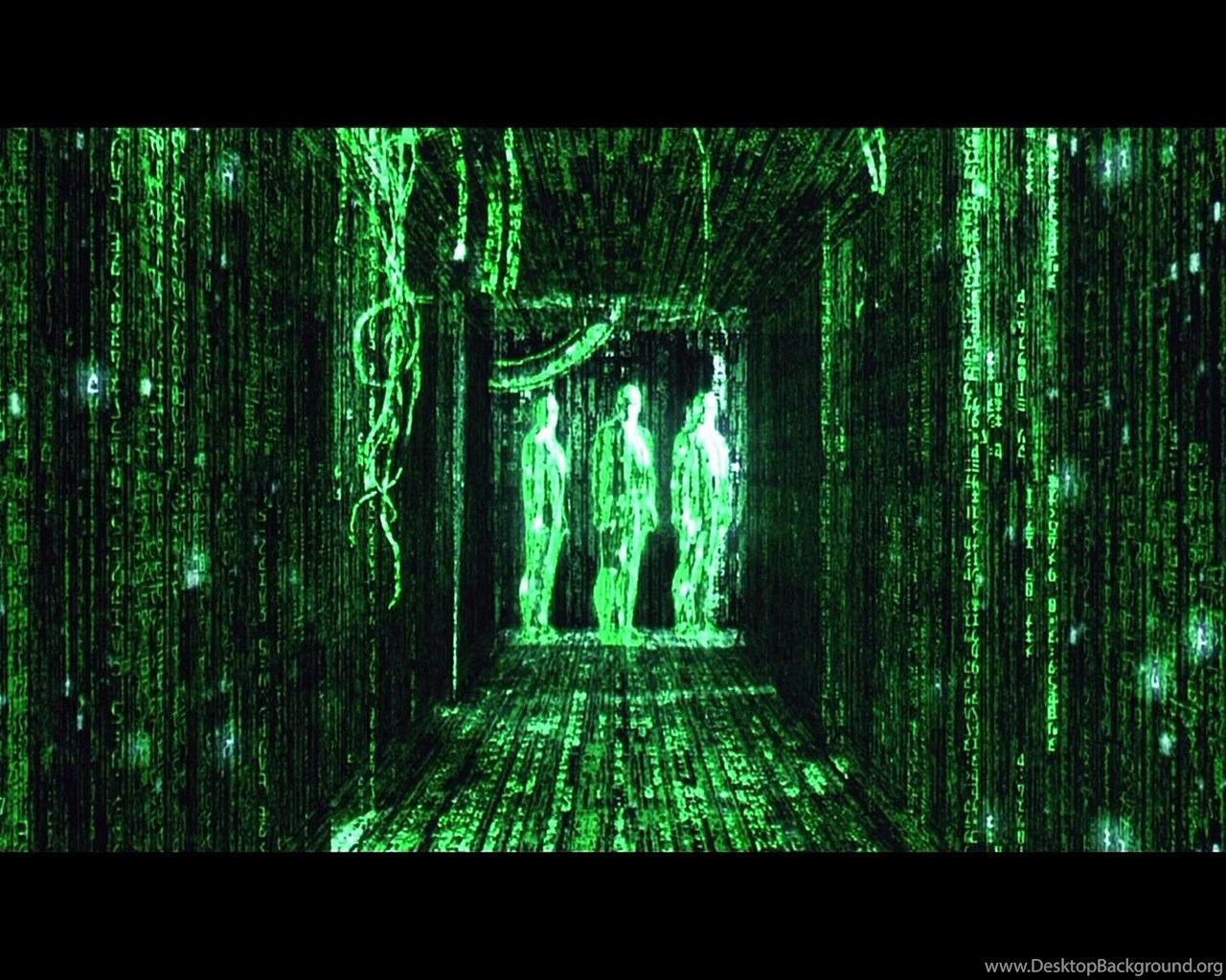 Matrix has you. Матрица. Матрица картинки. Баннер в стиле матрицы. Матрица стиль.