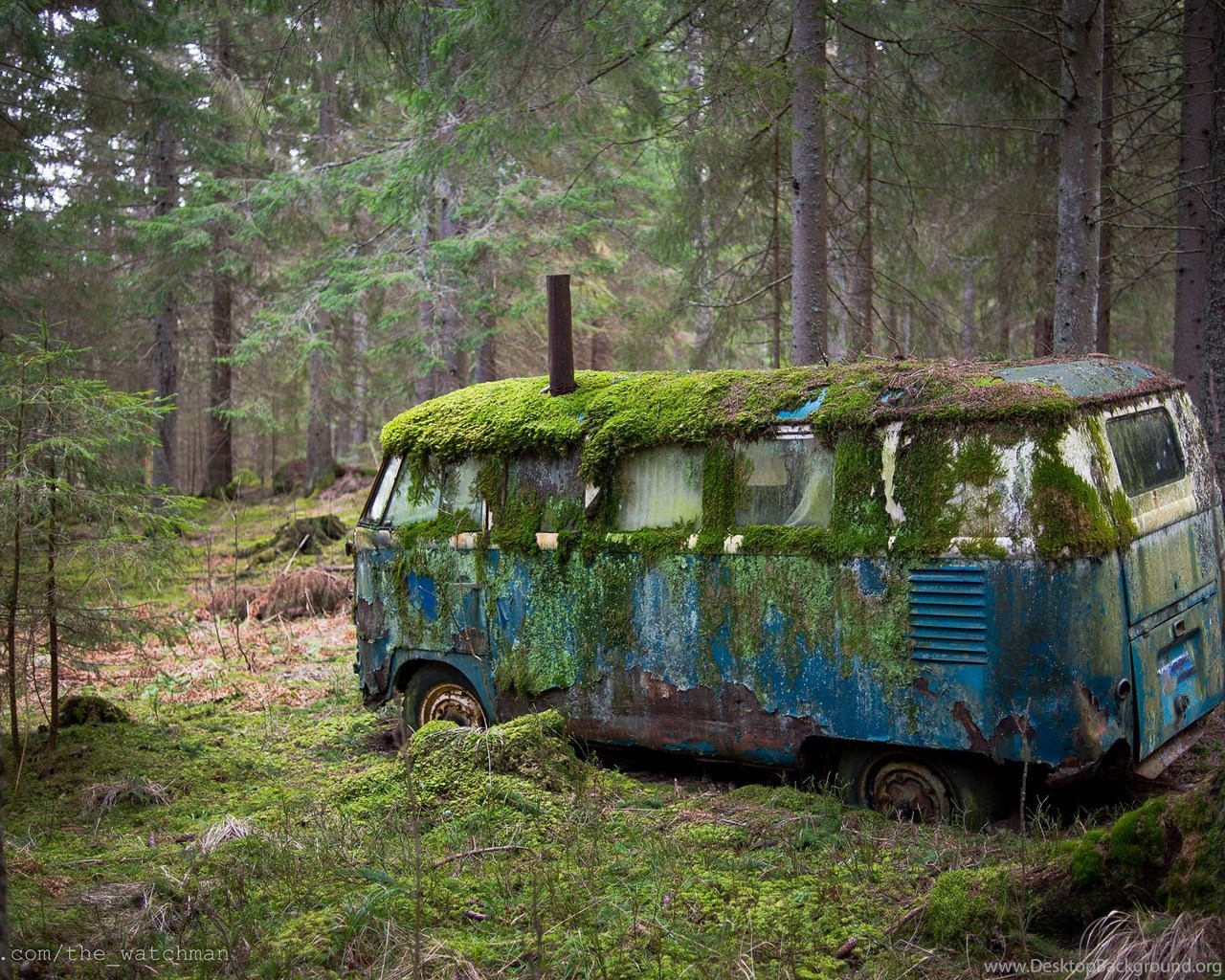 Volkswagen t1 Lost
