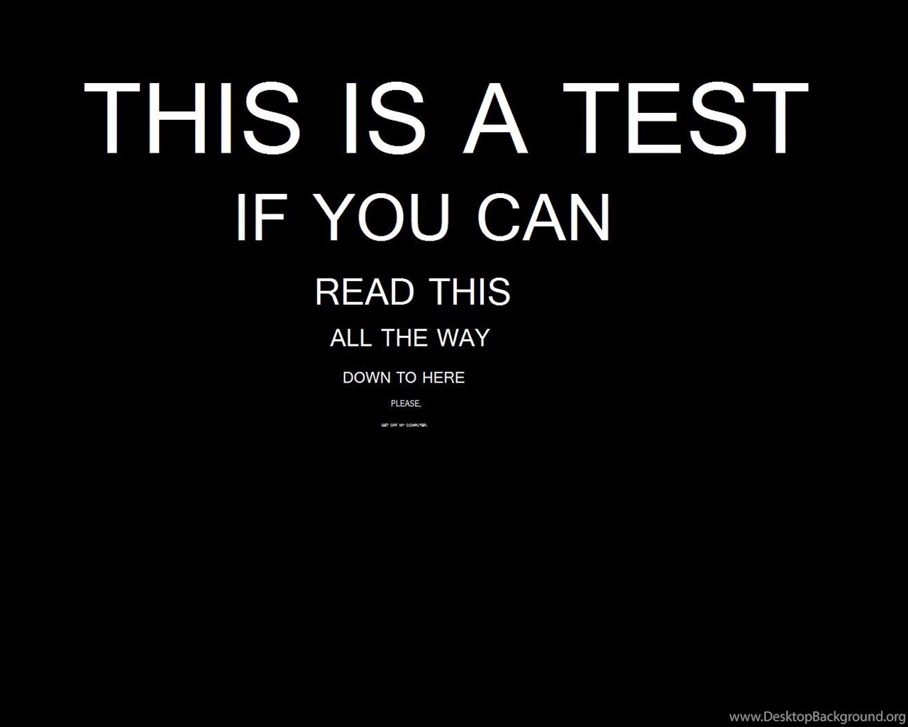 Funny Screensavers Wallpapers Desktop Background