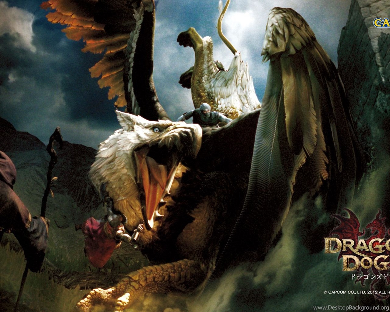 Dragons dogma 2 гигантский страж. Dragon's Dogma Постер. Всадник с орлом. Драгонс Догма 1.