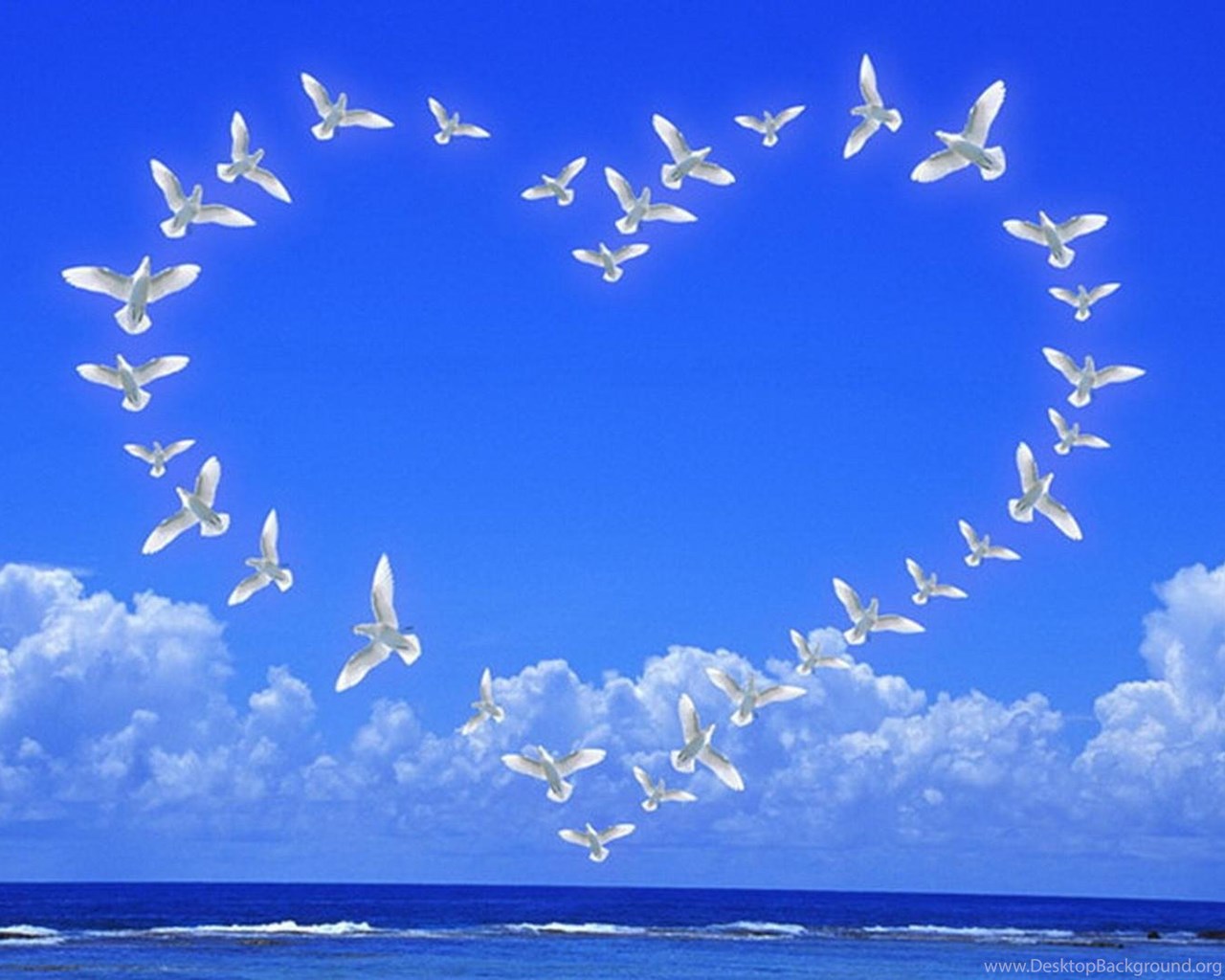Песню знаешь небо голубое. Сердечко в небе. Птицы в небе. Голубое мирное небо. Голуби в небе.