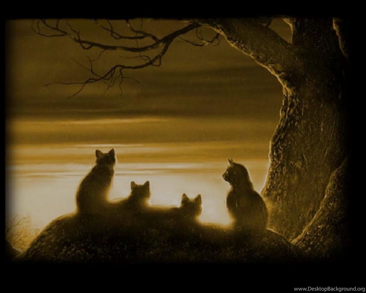 Племени солнца. Коты Воители арт племя теней. Коты Воители племя солнца. Коты Воители племя теней арт лес. The Darkest hour коты Воители.