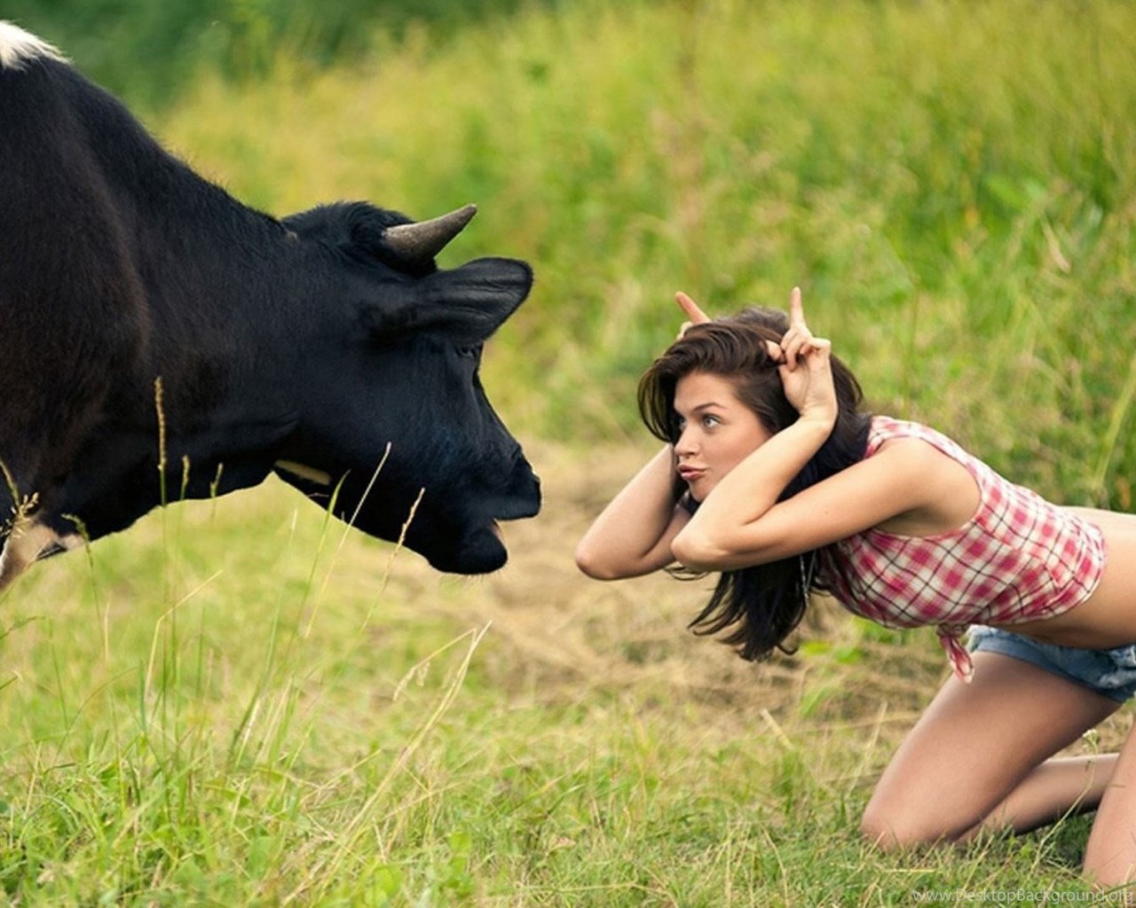 Ютуб самое интересное взрослых. Девушка корова. Девушка на быке. Телки коровы. Прикольные девушки.