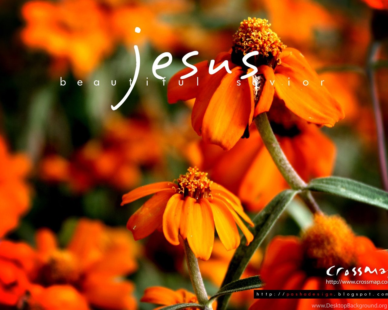 Jesus Beautiful Savior 3 Desktop Background