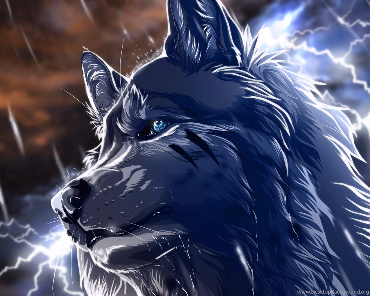 Blue Wolf 2016 4K Anime Wallpapers Desktop Background