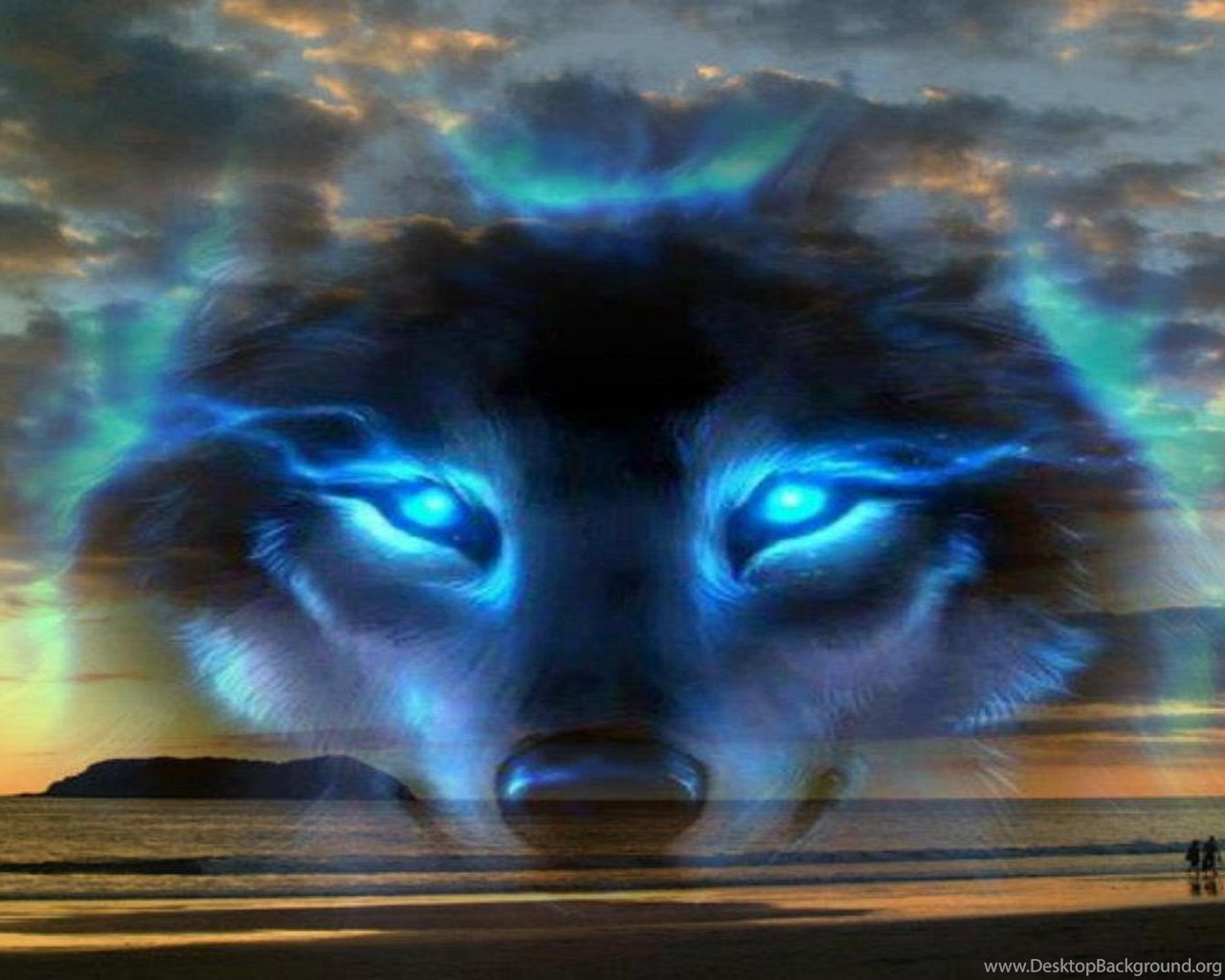 BLUE WOLF WALLPAPER ( Desktop Background