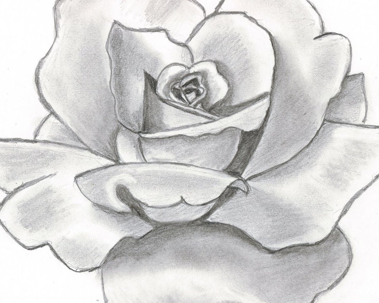 Легкий эскиз карандашом. Цветы рисунок. Красивые цветы карандашом. Цветы рисунок карандашом. Рисунки цветов для срисовки.