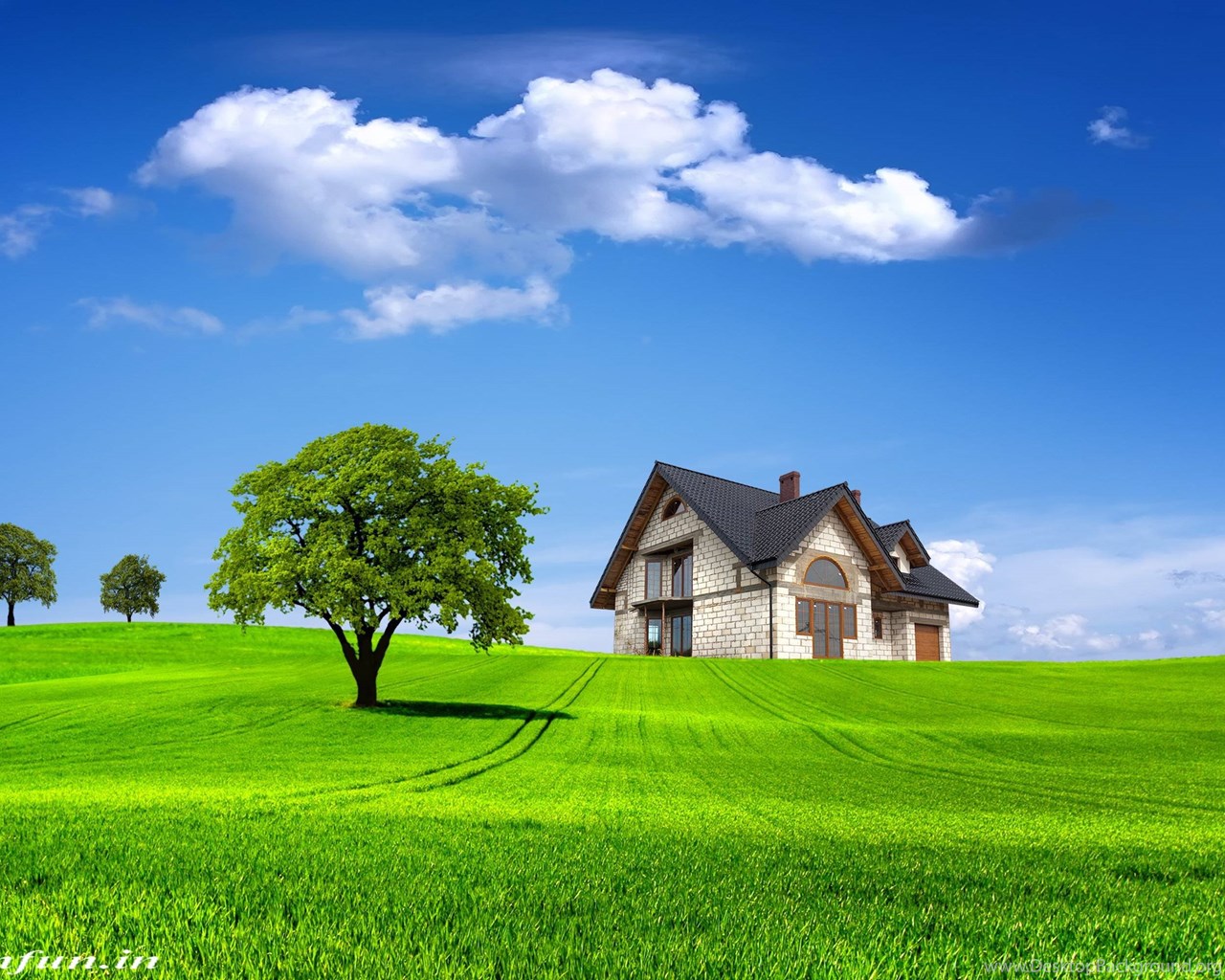 Free Download Hd Nature Wallpapers For Mobile Desktop Background