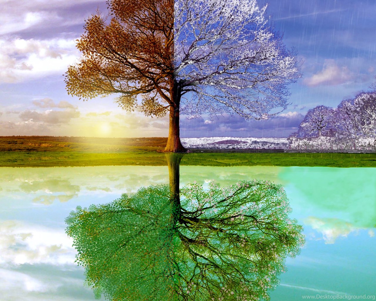 Changing Seasons Wallpapers Desktop Background