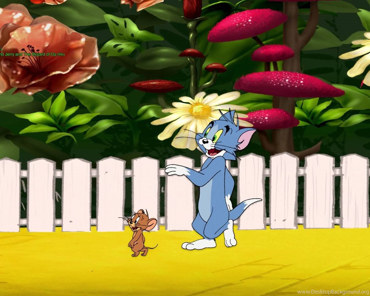 We Are Friends Tom And Jerry Wallpapers Desktop Background