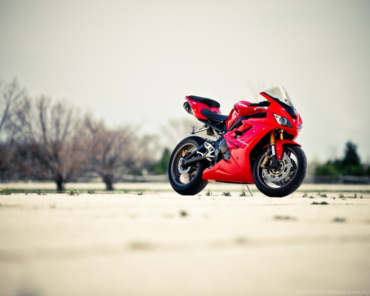 Triumph Daytona 675 Red