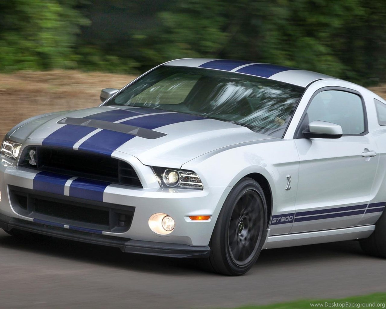 Ford Mustang gt 2006 Roush
