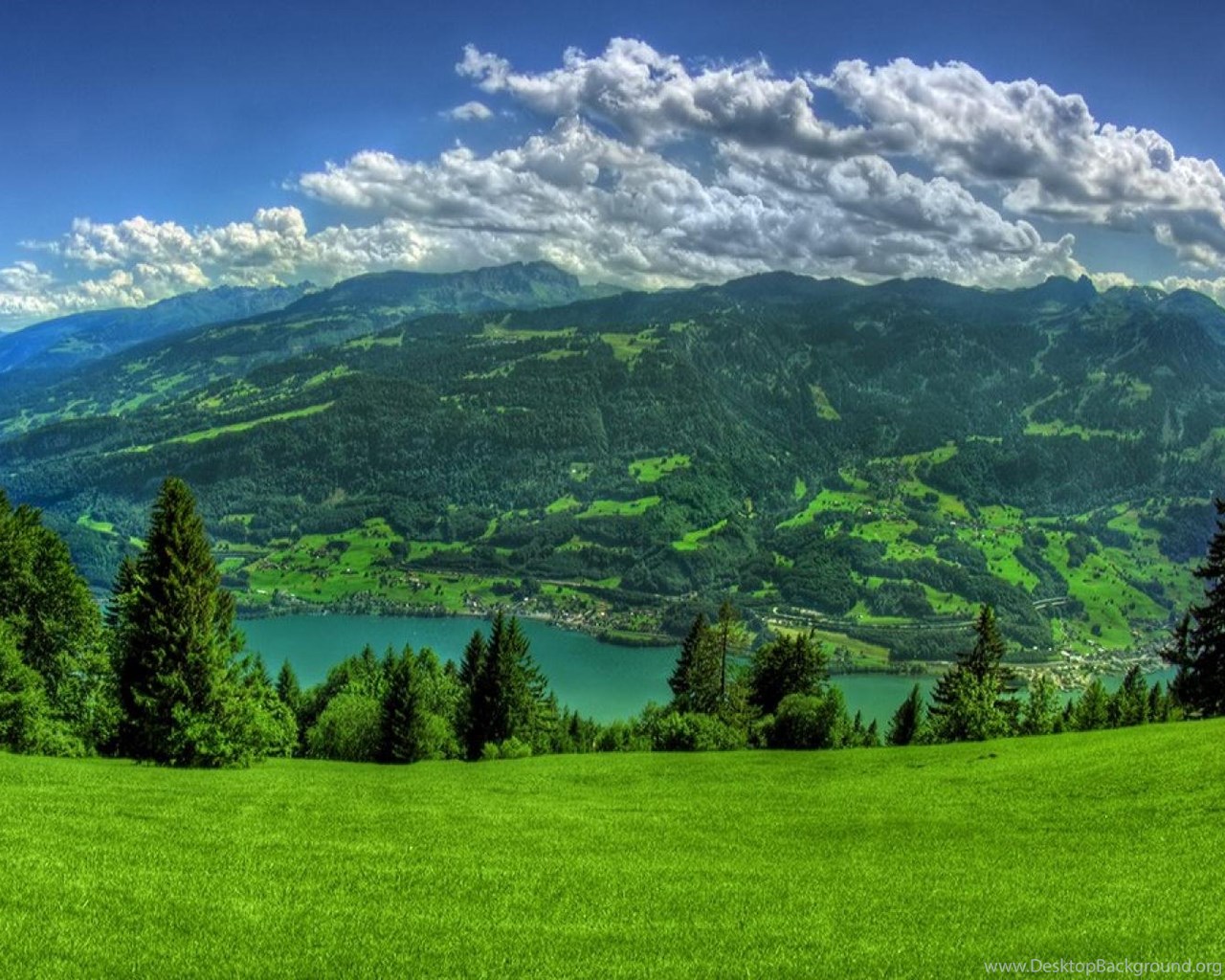 Amazing Landscapes Grass River Forest Colorful Nature Hd Wallpapers Desktop Background