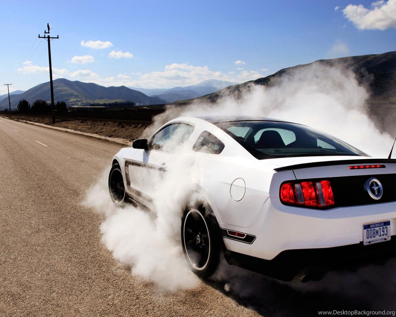 Ford Mustang Burnout